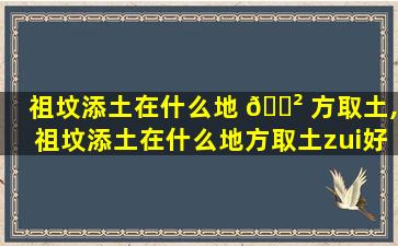 祖坟添土在什么地 🌲 方取土,祖坟添土在什么地方取土zui
好